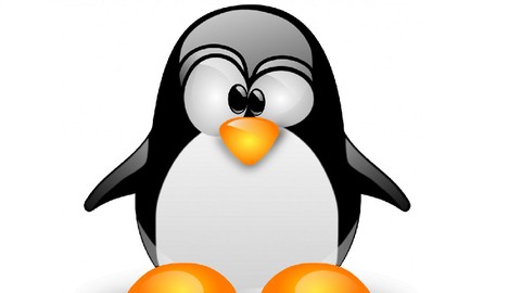 Linux Server Administration Made Easy with Hands-on Training